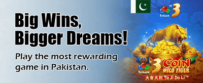 پاکستان کا سب سے بہترین گیم